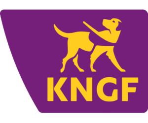 KNGF
