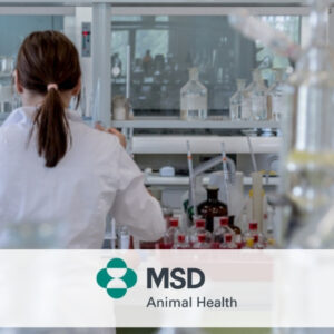 msd