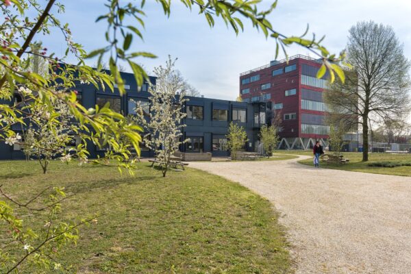 Pivot Park